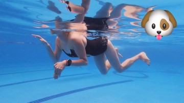 Cách bơi chó đúng cách như thế nào? Những lưu ý khi bơi!